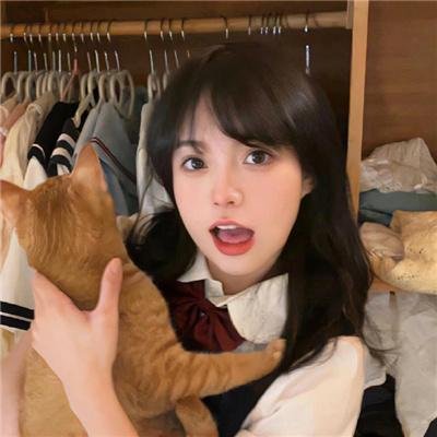 黑猫扎飞